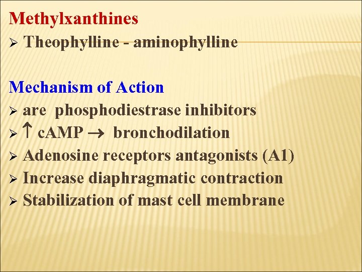 Methylxanthines Ø Theophylline - aminophylline Mechanism of Action Ø are phosphodiestrase inhibitors Ø c.