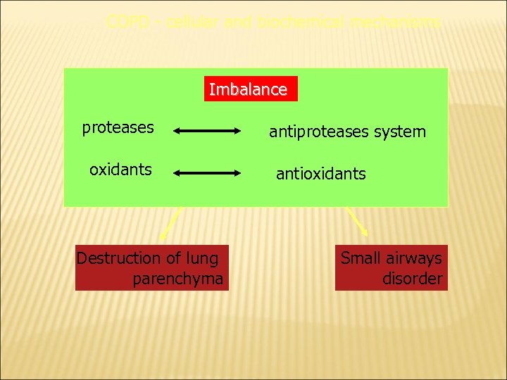 COPD - cellular and biochemical mechanisms Imbalance proteases oxidants Destruction of lung parenchyma antiproteases