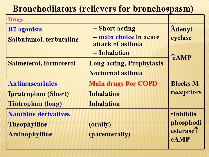 Bronchodilators (relievers for bronchospasm) Drugs B 2 agonists Salbutamol, terbutaline Salmeterol, formoterol Antimuscarinics Ipratropium