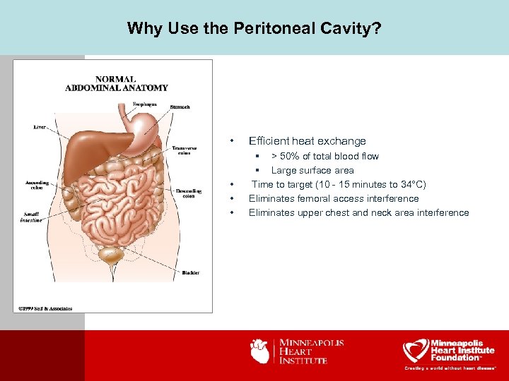 Why Use the Peritoneal Cavity? • Efficient heat exchange • • • § >