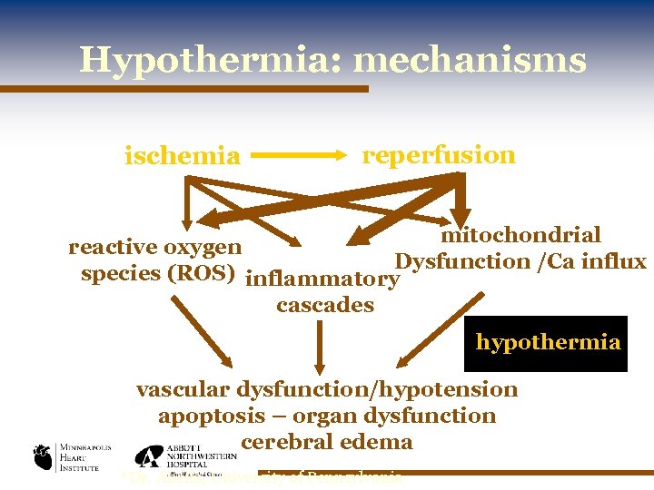 Hypothermia: mechanisms ischemia reperfusion mitochondrial reactive oxygen Dysfunction /Ca influx species (ROS) inflammatory cascades