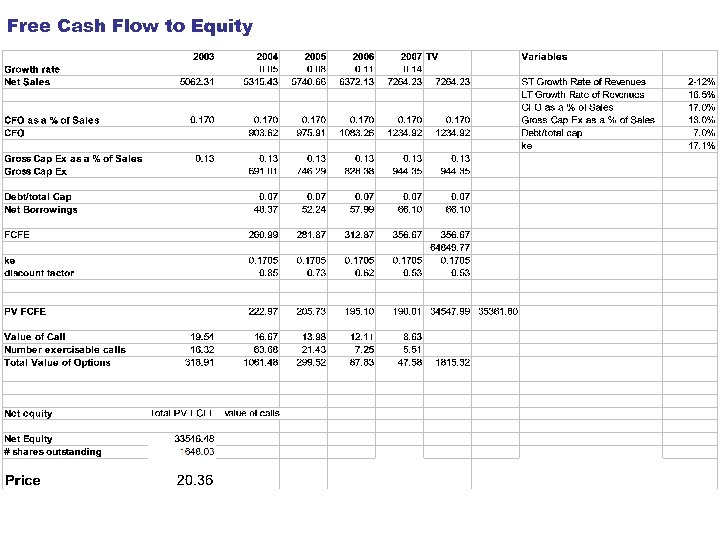 Free Cash Flow to Equity 