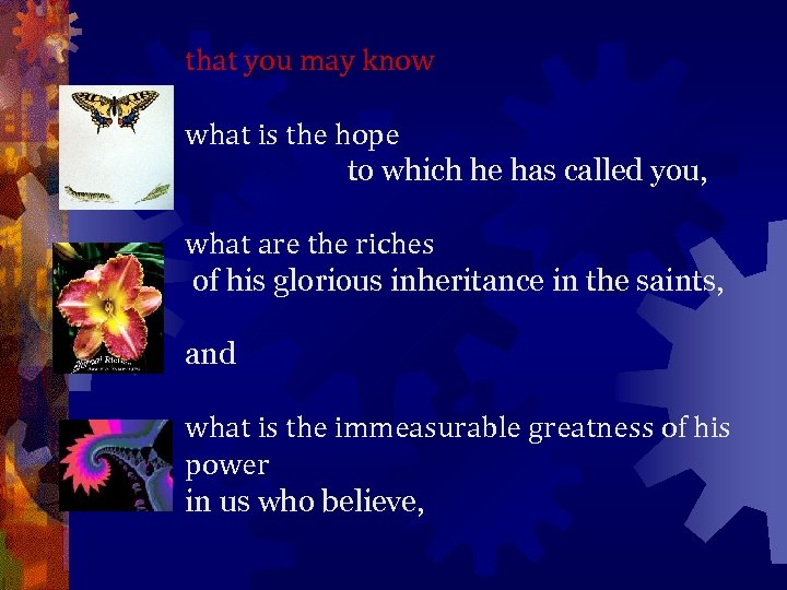 that you may know what is the hope to which he has called you,