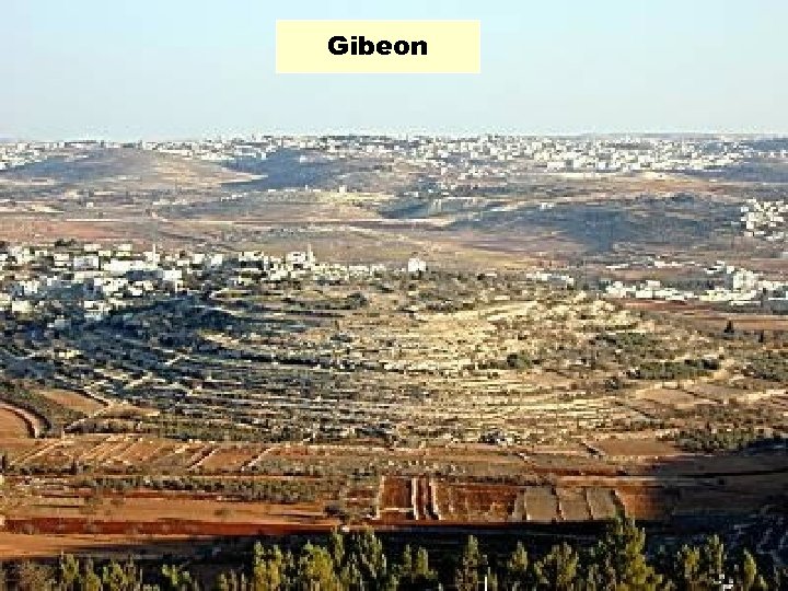 Gibeon 