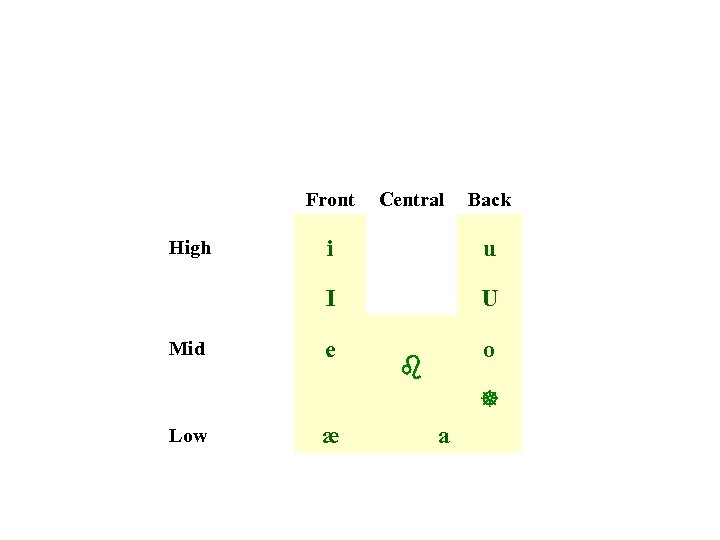 Front Central Back Mid i u I High U e o b ] Low