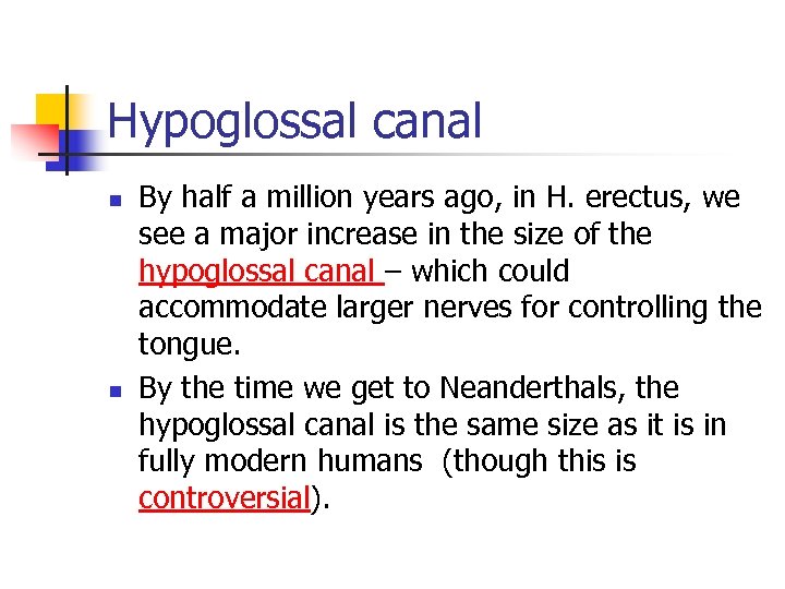 Hypoglossal canal n n By half a million years ago, in H. erectus, we