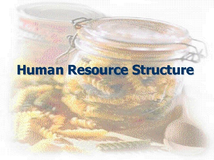 Human Resource Structure 