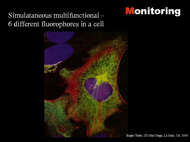 Simulataneous multifunctional – 6 different fluorophores in a cell Monitoring Roger Tsien, UC-San Diego,