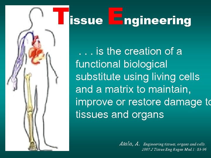 Tissue Engineering . . . is the creation of a functional biological substitute using
