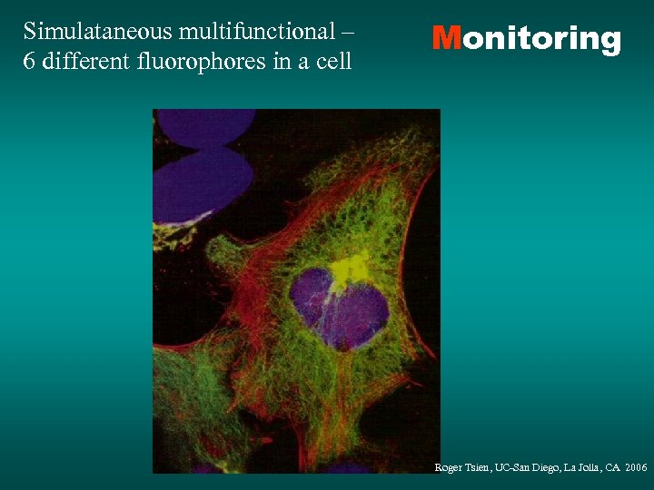 Simulataneous multifunctional – 6 different fluorophores in a cell Monitoring Roger Tsien, UC-San Diego,