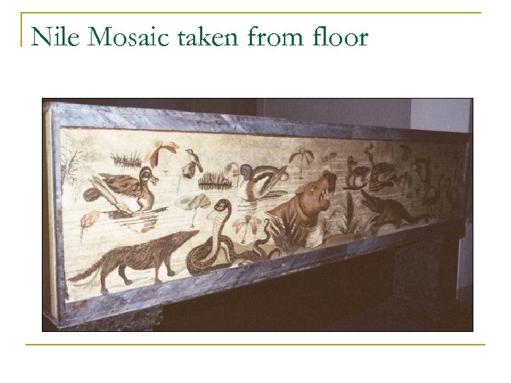 Nile Mosaic taken from floor 