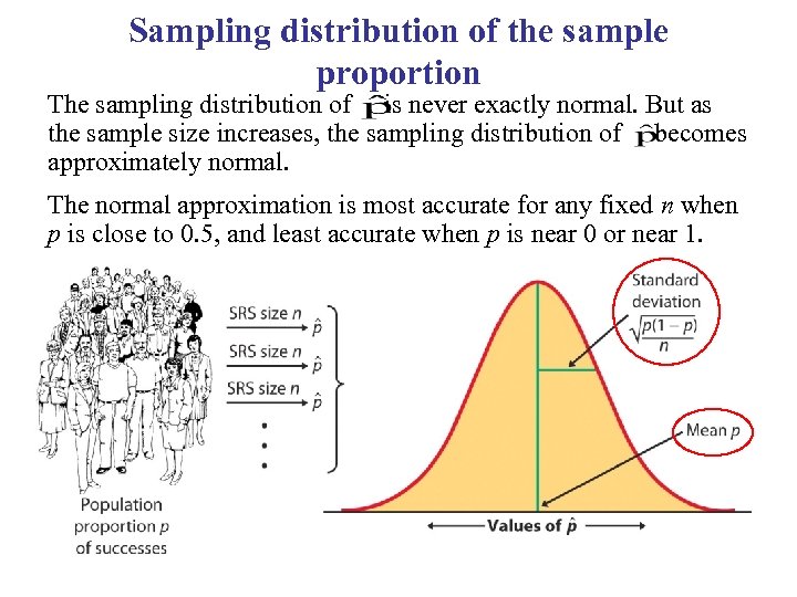 Sampling distribution of the sample proportion The sampling distribution of is never exactly normal.