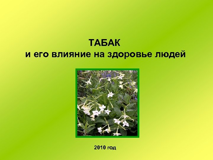 ТАБАК и его влияние на здоровье людей 2010 год 
