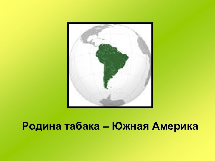 Родина табака – Южная Америка 