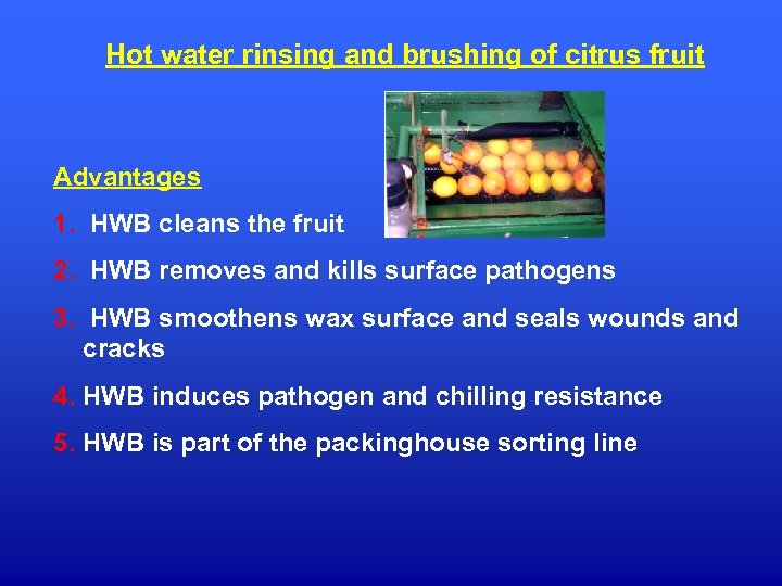 Hot water rinsing and brushing of citrus fruit Advantages 1. HWB cleans the fruit