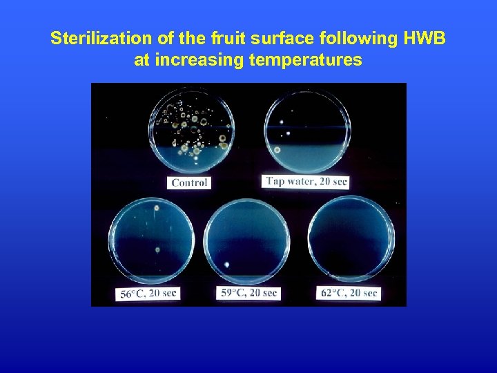 Sterilization of the fruit surface following HWB at increasing temperatures 