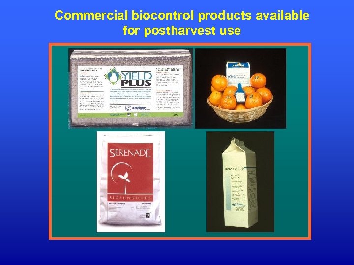 Commercial biocontrol products available for postharvest use 