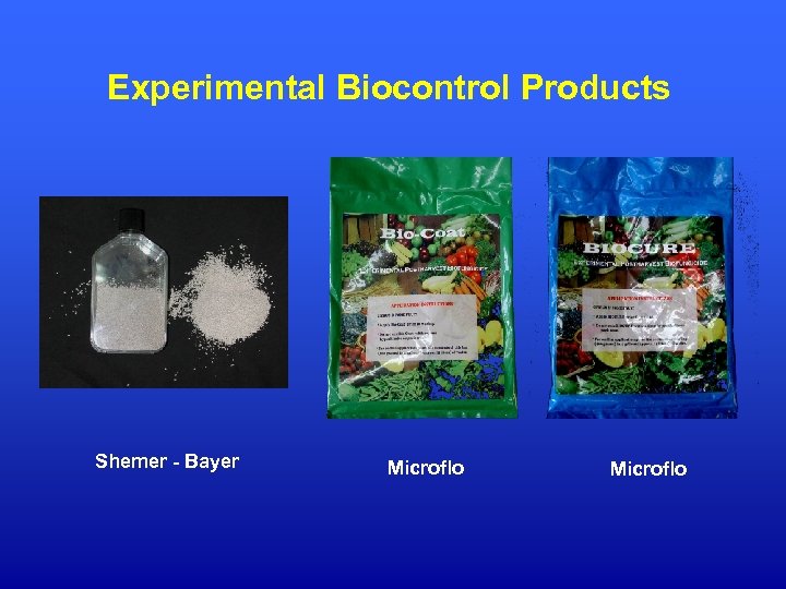Experimental Biocontrol Products Shemer - Bayer Microflo 