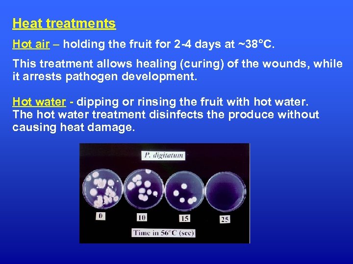 Heat treatments Hot air – holding the fruit for 2 -4 days at ~38