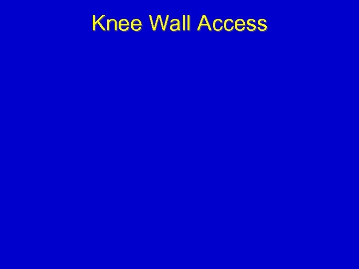 Knee Wall Access 