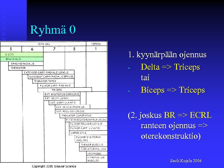 Ryhmä 0 1. kyynärpään ojennus Delta => Triceps tai Biceps => Triceps (2. joskus