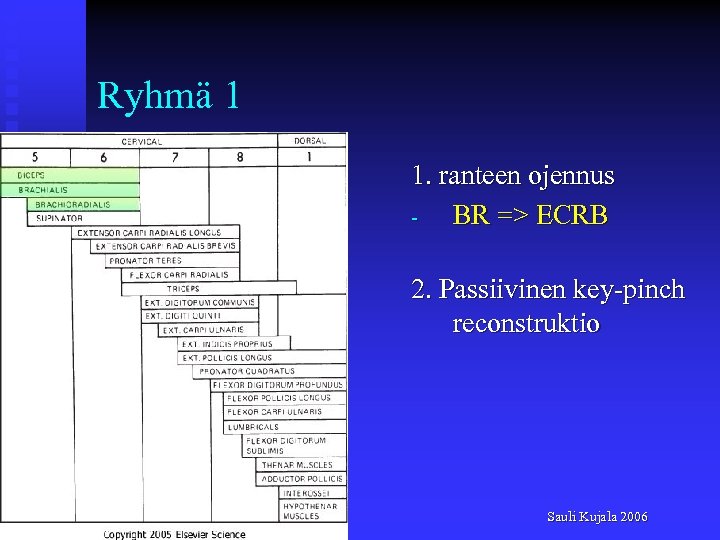 Ryhmä 1 1. ranteen ojennus BR => ECRB 2. Passiivinen key-pinch reconstruktio Sauli Kujala