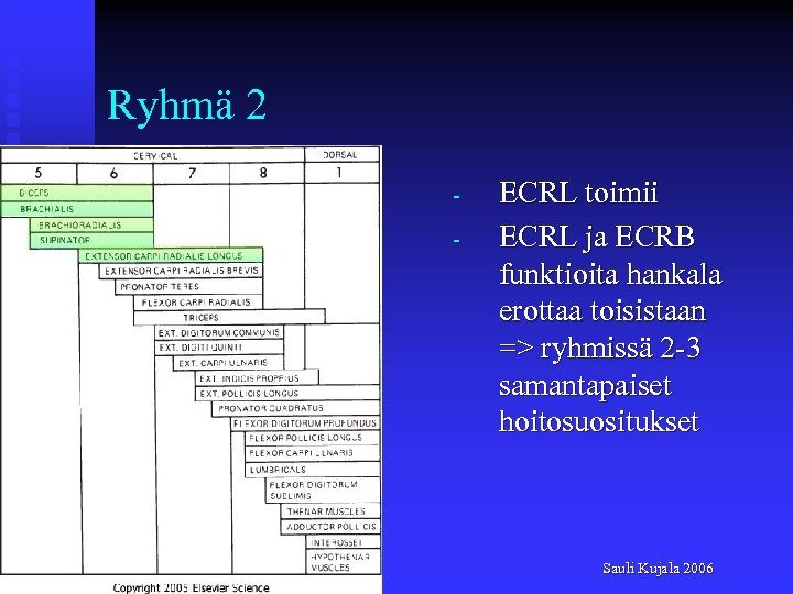 Ryhmä 2 - ECRL toimii ECRL ja ECRB funktioita hankala erottaa toisistaan => ryhmissä