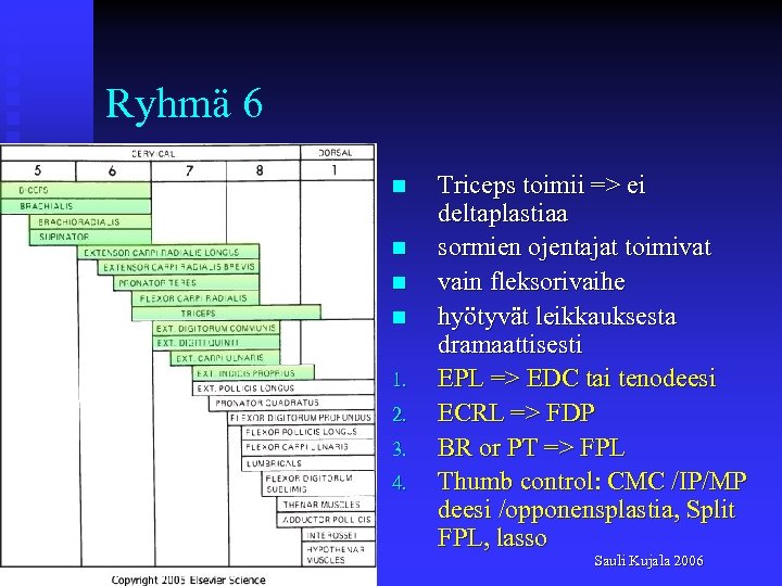Ryhmä 6 n n 1. 2. 3. 4. Triceps toimii => ei deltaplastiaa sormien