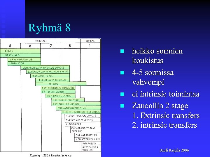 Ryhmä 8 n n heikko sormien koukistus 4 -5 sormissa vahvempi ei intrinsic toimintaa