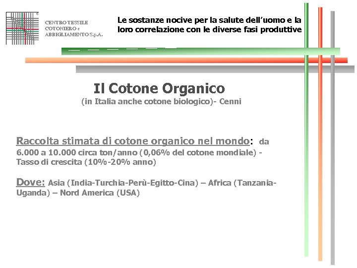 CENTRO TESSILE COTONIERO e ABBIGLIAMENTO S. p. A. Le sostanze nocive per la salute