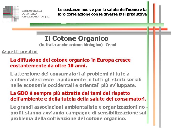 CENTRO TESSILE COTONIERO e ABBIGLIAMENTO S. p. A. Le sostanze nocive per la salute