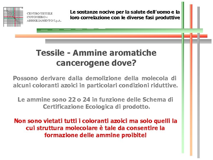 CENTRO TESSILE COTONIERO e ABBIGLIAMENTO S. p. A. Le sostanze nocive per la salute