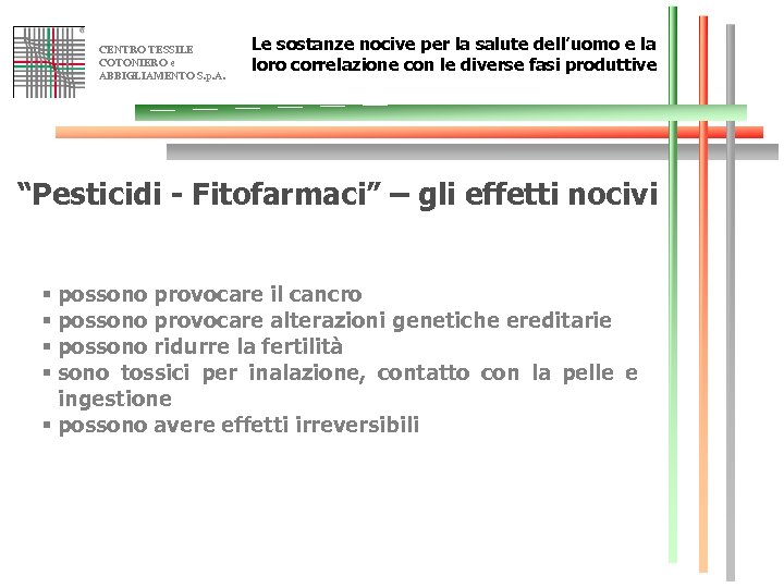 CENTRO TESSILE COTONIERO e ABBIGLIAMENTO S. p. A. Le sostanze nocive per la salute
