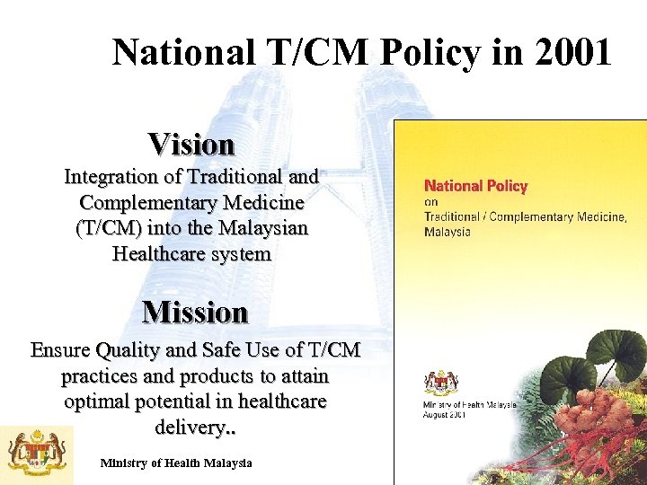 National T/CM Policy in 2001 Vision Integration of Traditional and Complementary Medicine (T/CM) into