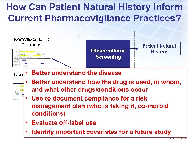How Can Patient Natural History Inform Current Pharmacovigilance Practices? Normalized EHR Database Observational Screening