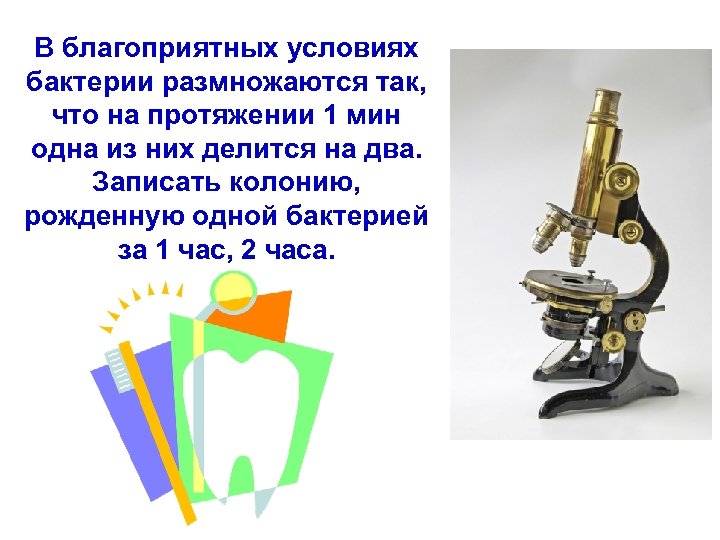 В благоприятных условиях бактерии размножаются так, что на протяжении 1 мин одна из них