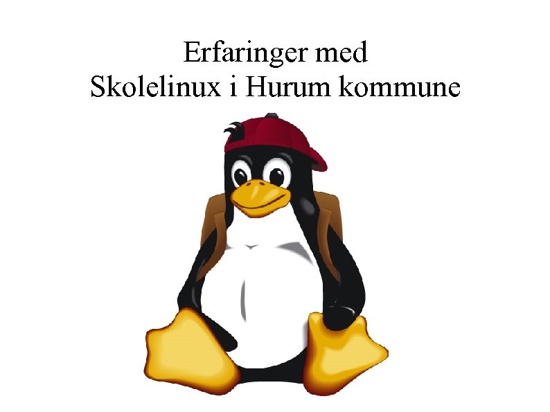 Erfaringer med Skolelinux i Hurum kommune 