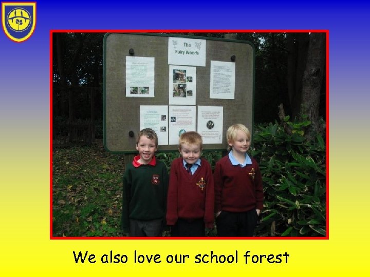 We also love our school forest 