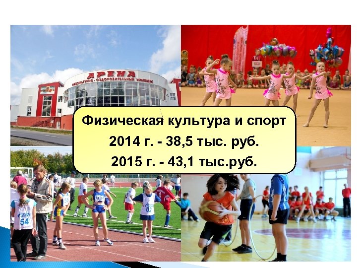 Физическая культура и спорт 2014 г. - 38, 5 тыс. руб. 2015 г. -