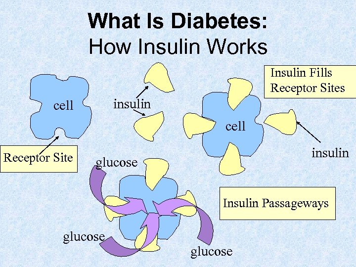 What Is Diabetes: How Insulin Works Insulin Fills Receptor Sites insulin cell Receptor Site