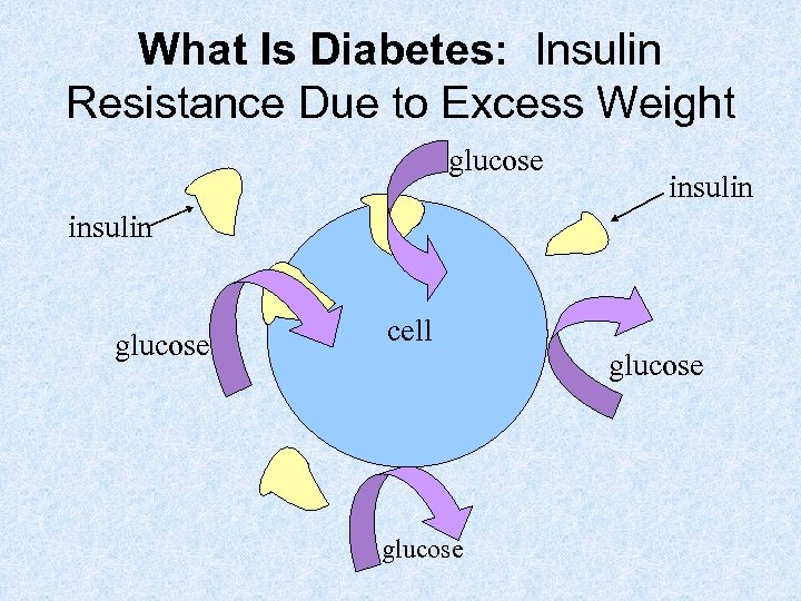 What Is Diabetes: Insulin Resistance Due to Excess Weight glucose insulin glucose cell glucose