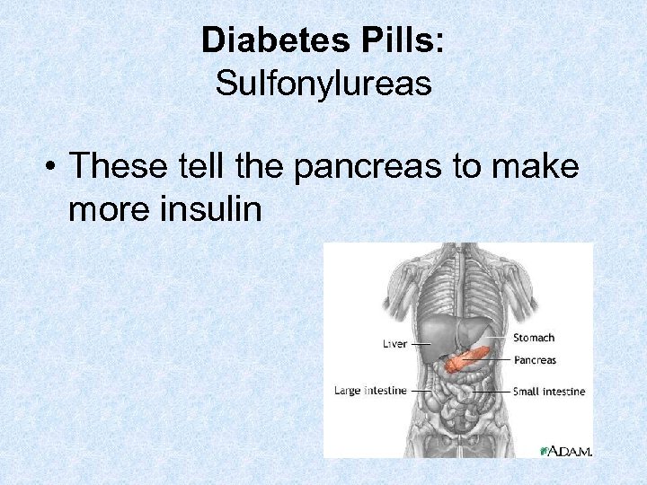Diabetes Pills: Sulfonylureas • These tell the pancreas to make more insulin 