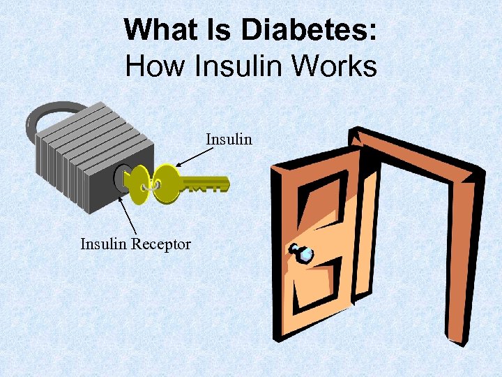 What Is Diabetes: How Insulin Works Insulin Receptor 