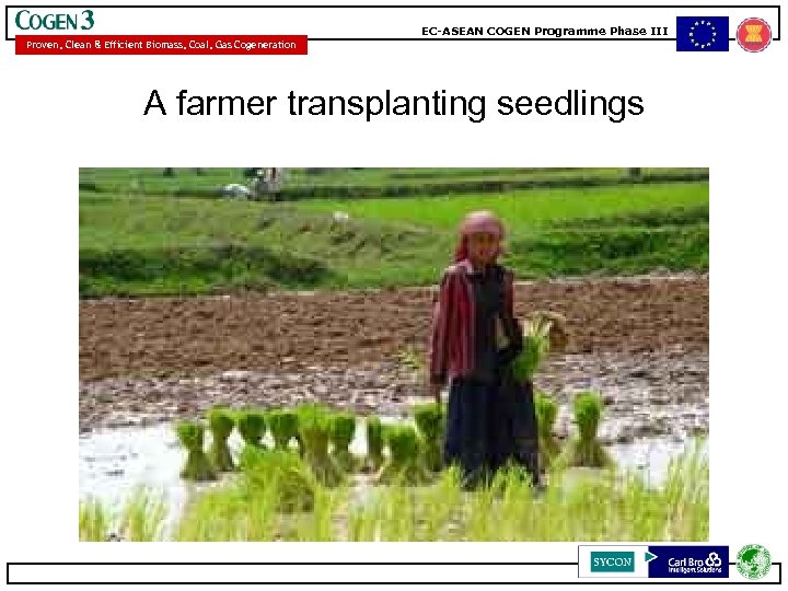 EC-ASEAN COGEN Programme Phase III Proven, Clean & Efficient Biomass, Coal, Gas Cogeneration A