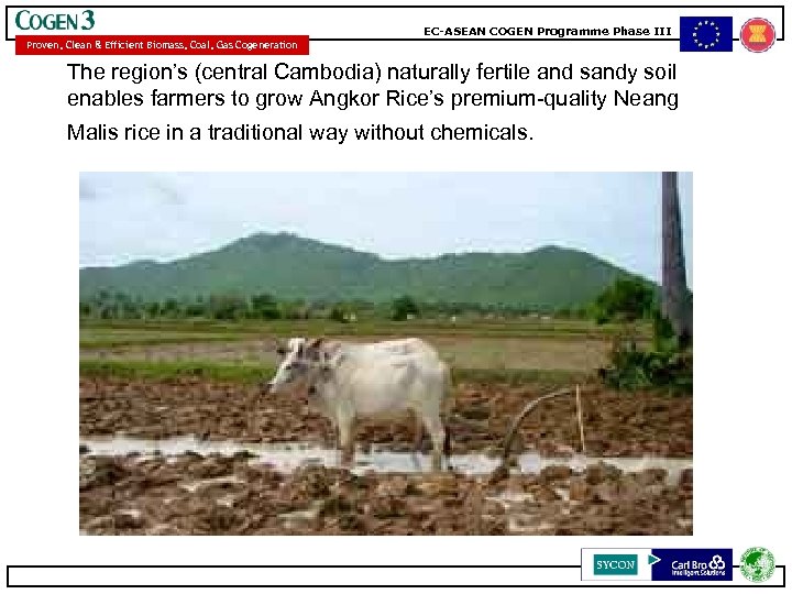 EC-ASEAN COGEN Programme Phase III Proven, Clean & Efficient Biomass, Coal, Gas Cogeneration The