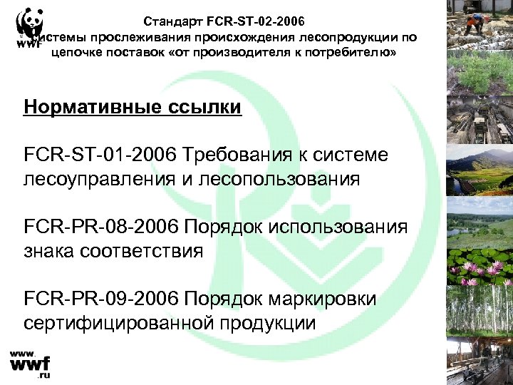 Стандарт FCR-ST-02 -2006 системы прослеживания происхождения лесопродукции по цепочке поставок «от производителя к потребителю»