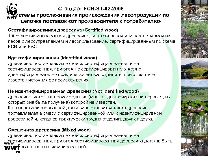 Стандарт FCR-ST-02 -2006 системы прослеживания происхождения лесопродукции по цепочке поставок «от производителя к потребителю»