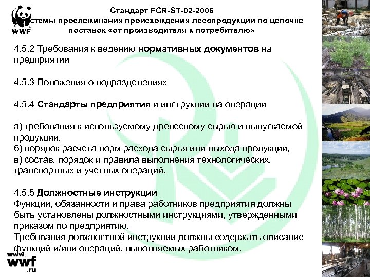 Стандарт FCR-ST-02 -2006 системы прослеживания происхождения лесопродукции по цепочке поставок «от производителя к потребителю»