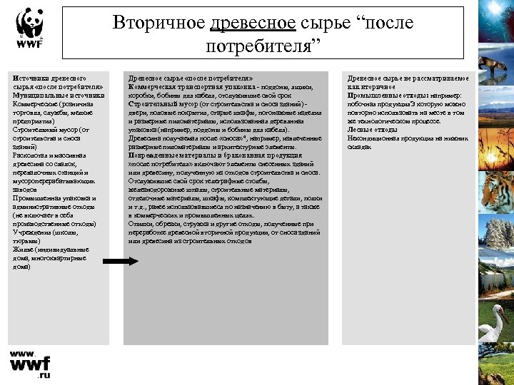 Вторичное древесное сырье “после потребителя” Источники древесного сырья «после потребителя» Муниципальные источники Коммерческие (розничная