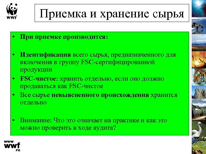 Приемка и хранение сырья • При приемке производится: • Идентификация всего сырья, предназначенного для